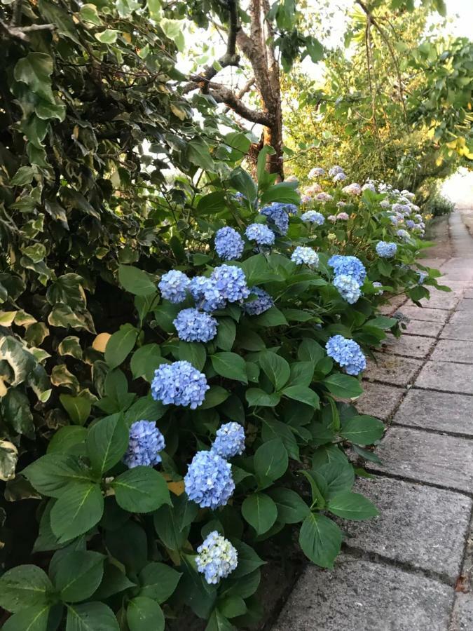 Landscape Garden Village Vouzela Buitenkant foto